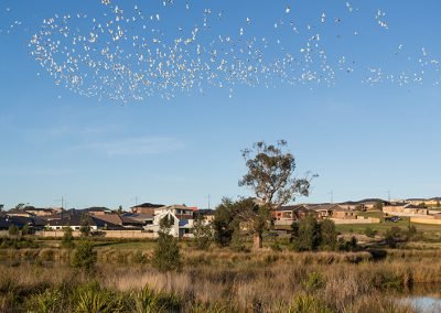 Jackson’s View Residential Estate